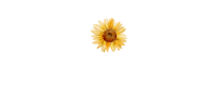 Logo tipo Raquel Cristina PSI (20 x 10 cm).png